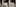 De Nieuwe Defensie in beweging